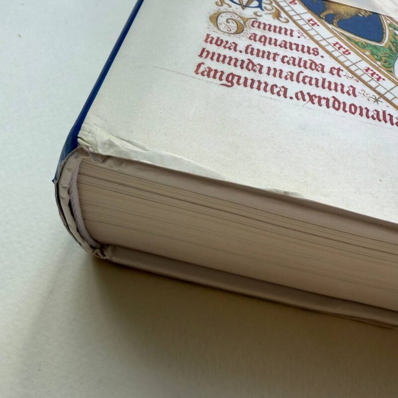 книга каліграфія манускрипти Codices Illustres купити Україна Київ Перо Маркет
