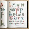 Alphabets & Numbers - Зображення 2