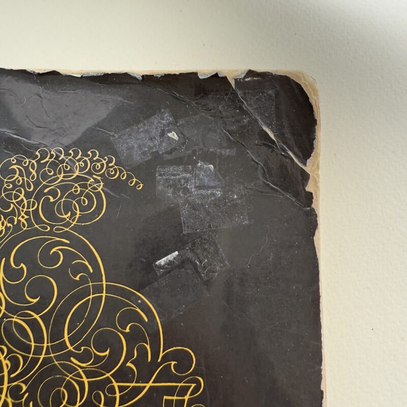 Calligraphy (Calligraphia Latina) книга каліграфія розчерки купити Україна Київ Перо Маркет