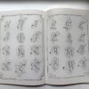 Calligraphy Calligraphia Latina книга каліграфія гострим пером розчерки коперплейт купити Київ Україна перо маркет