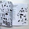 Codici 1. Calligraphic Visual, Communication, Research каліграфія летеринг дизайн купити Україна Київ перо маркет