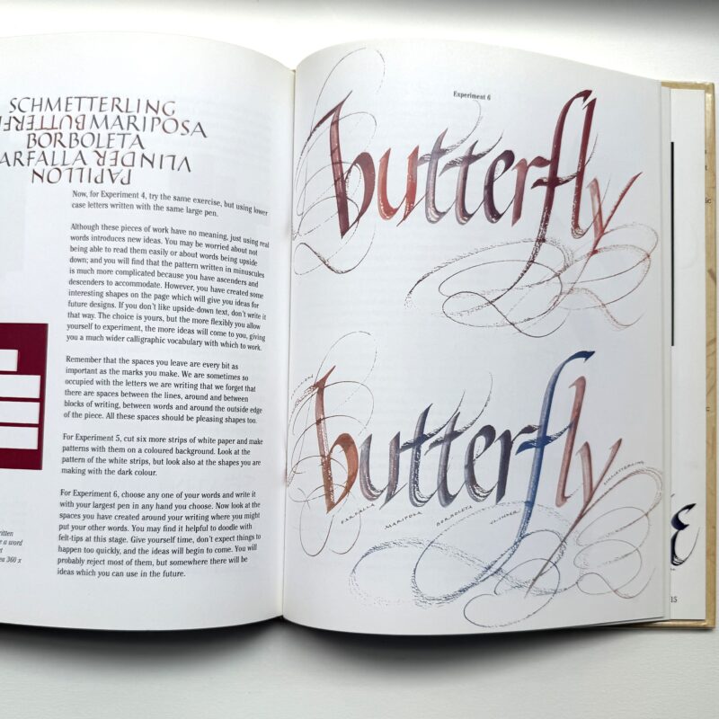 Experimenting with Calligraphy книга каліграфія композиція ілюмінація летеринг купити Україна Київ перо маркет