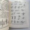 Calligraphic Flourishing: A New Approach to an Ancient Art книга каліграфія флоріши розчерки купити Україна Київ перо маркет
