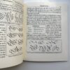 Calligraphic Flourishing: A New Approach to an Ancient Art книга каліграфія флоріши розчерки купити Україна Київ перо маркет
