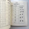 Calligraphic Flourishing: A New Approach to an Ancient Art книга каліграфія флоріши розчерки купити Україна Київ перо маркет