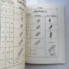 Calligraphic Flourishing: A New Approach to an Ancient Art книга каліграфія флоріши розчерки купити Україна Київ перо маркет