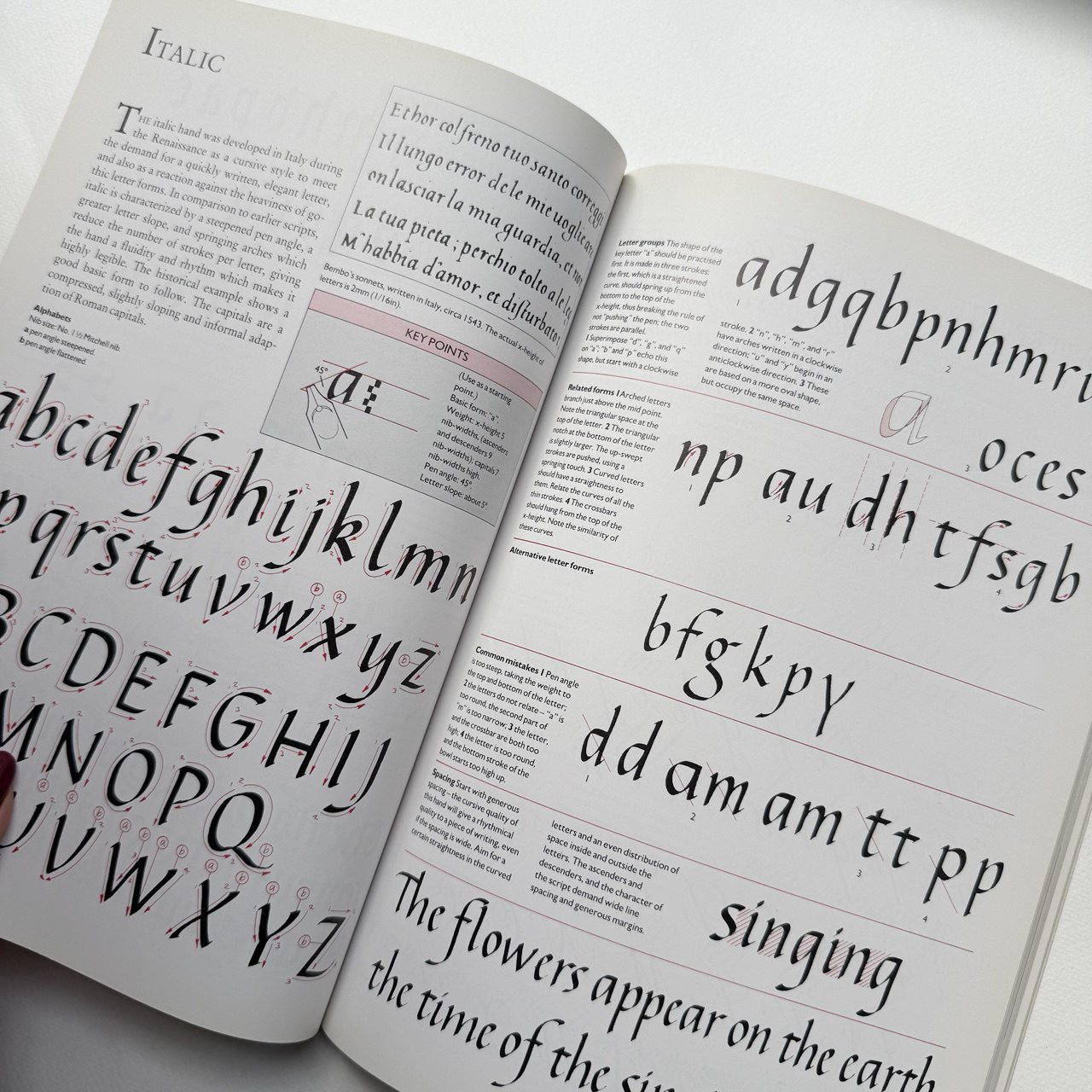 Книга каліграфія для початківців стиль готика коперплейт унціал римський капітальний самовчитель Calligraphers Project Book купити Україна Київ Перо Маркет