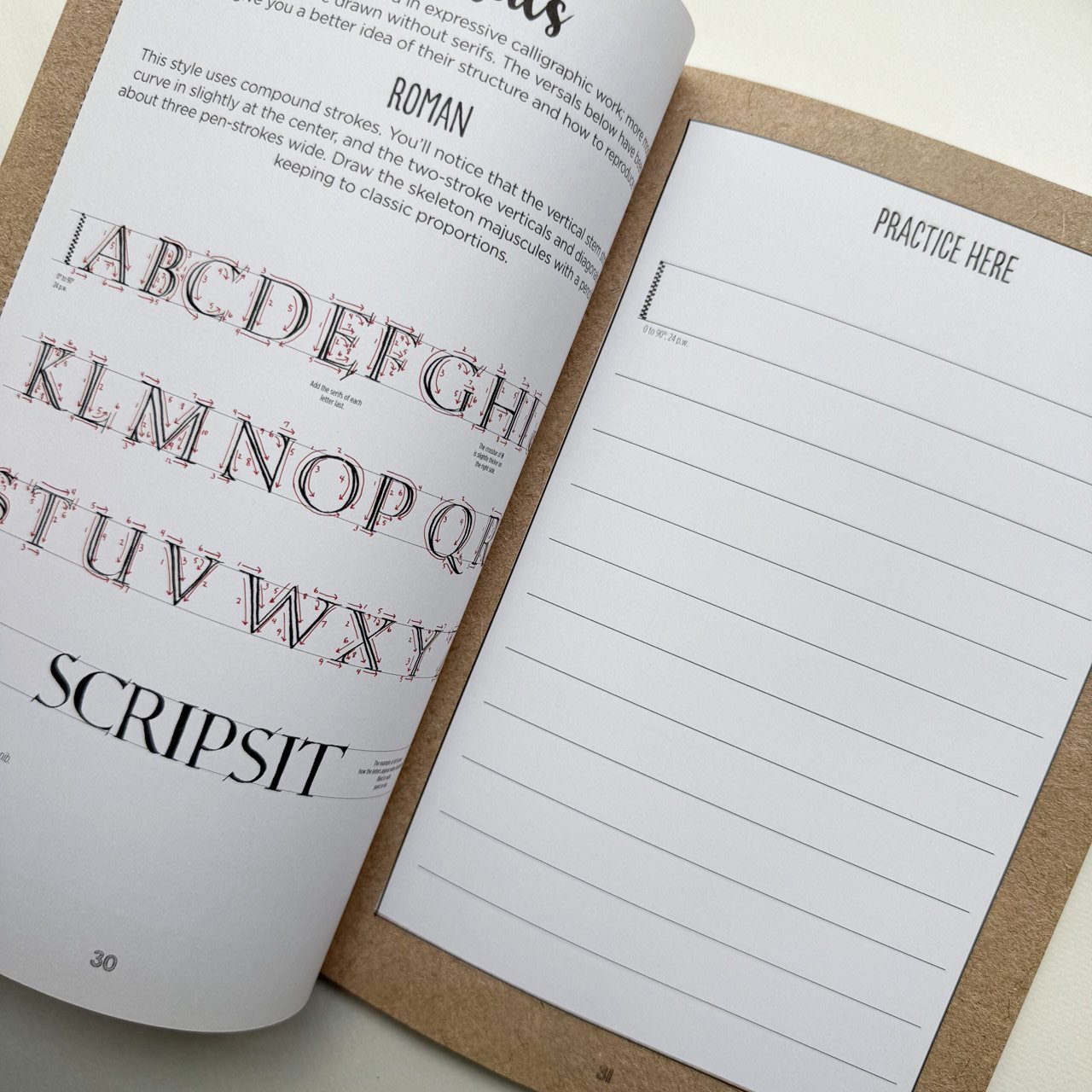 книга каліграфія летеринг самовчитель The Little Book of Lettering and Word Design купити Україна Київ Перо Маркет