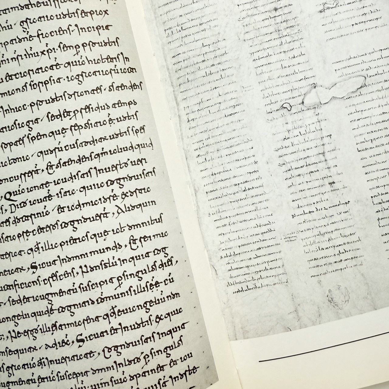 The Art of Calligraphy Western Europe & America книга каліграфія мистецтво історія купити Україна Київ Перо Маркет