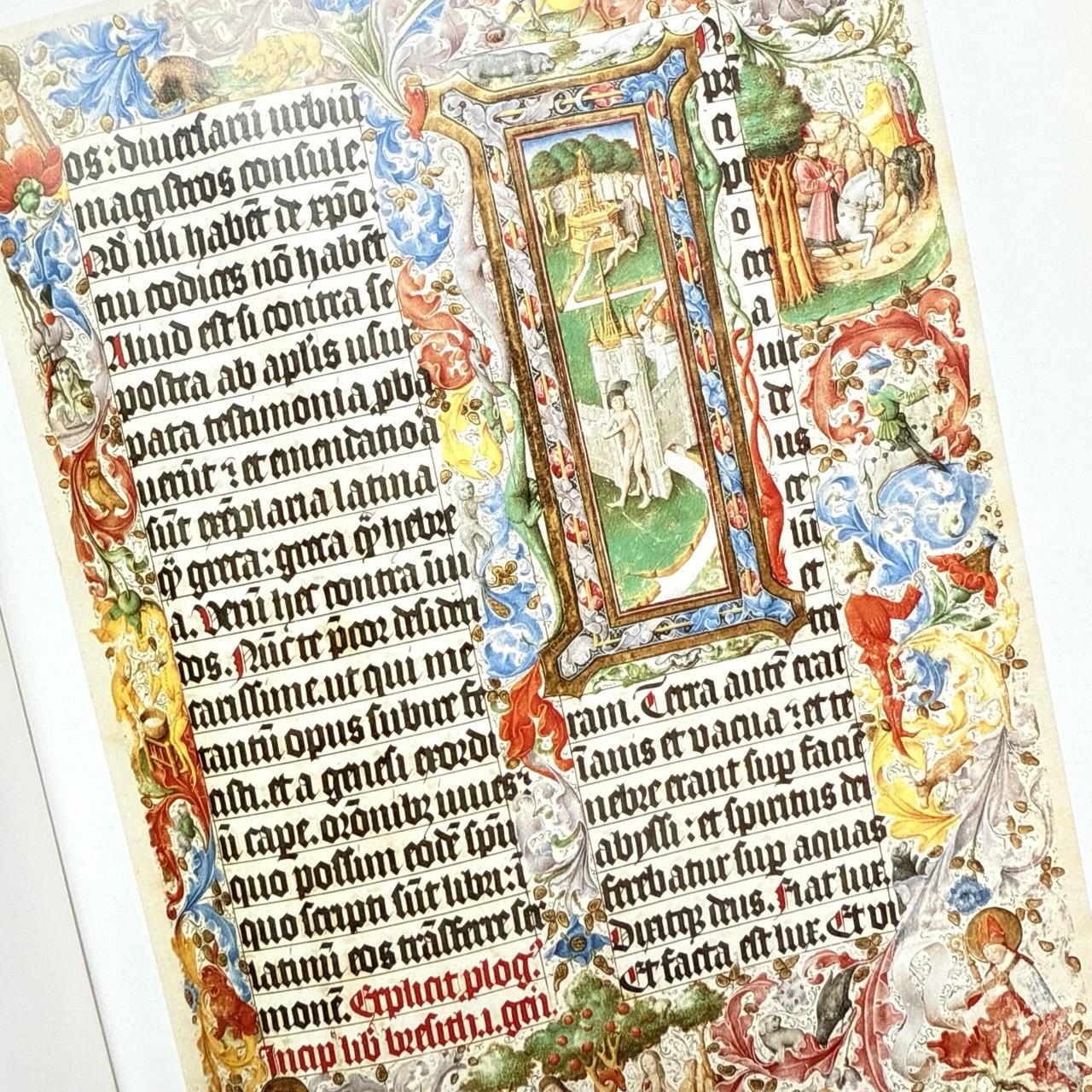 Книга The Golden Age of Dutch Manuscript Painting каліграфія ілюмінація мистецтво купити Україна Київ Перо Маркет