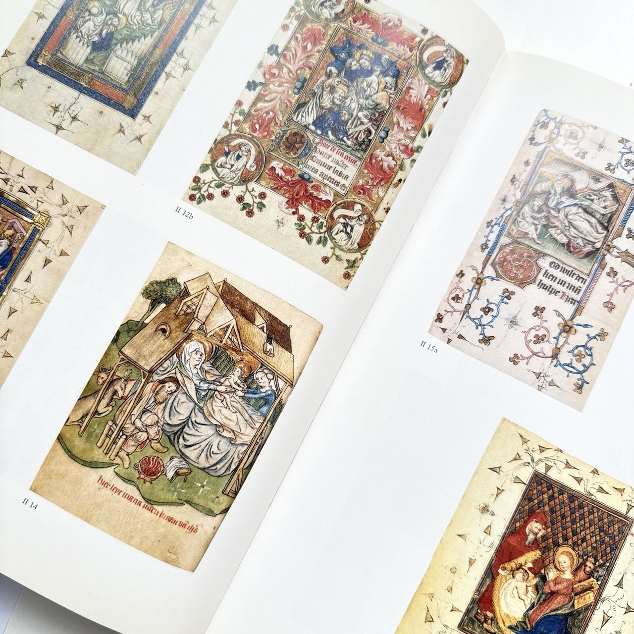 Книга The Golden Age of Dutch Manuscript Painting каліграфія ілюмінація мистецтво купити Україна Київ Перо Маркет