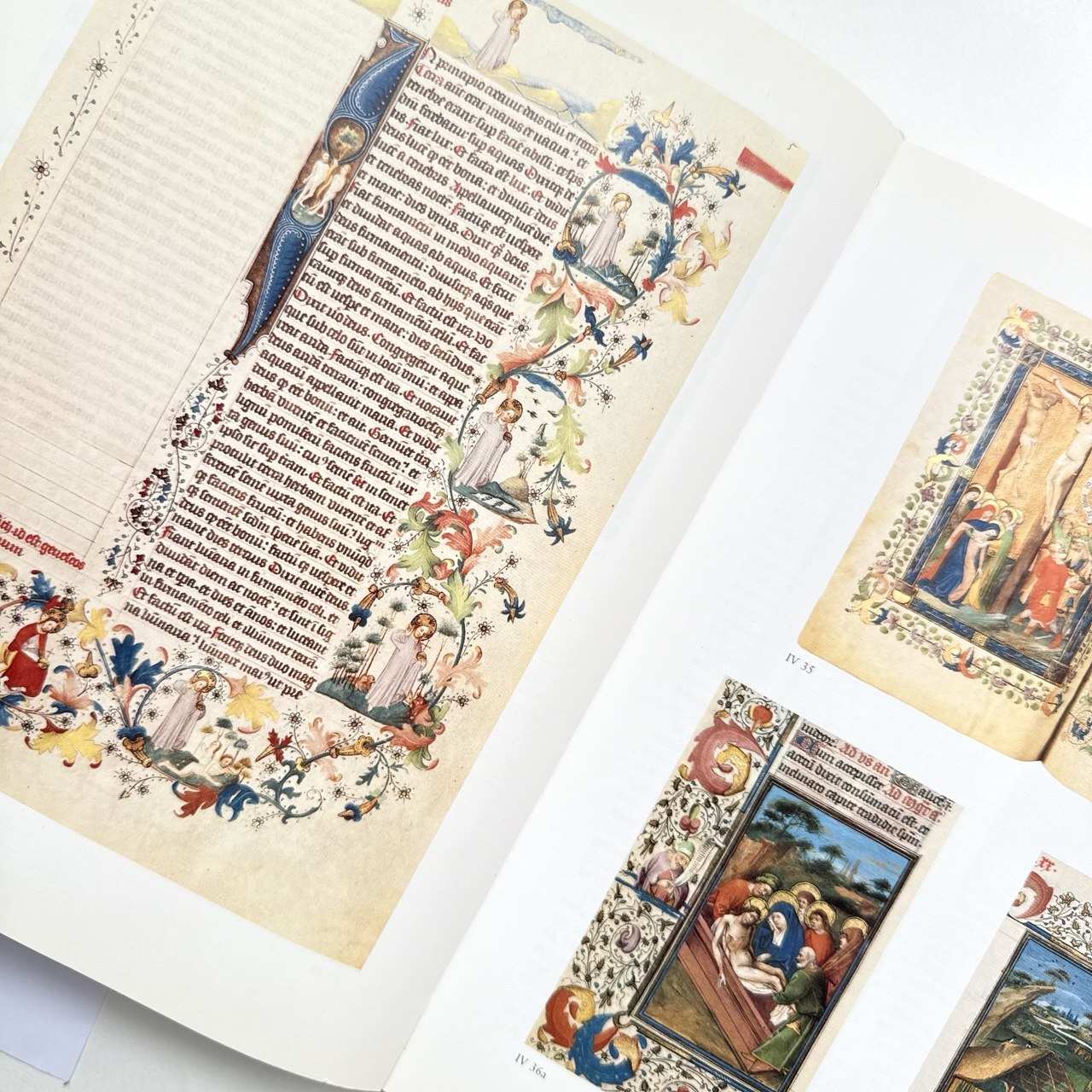 Книга The Golden Age of Dutch Manuscript Painting каліграфія ілюмінація мистецтво купити Україна Київ Перо Маркет